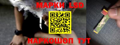 apvp Свободный