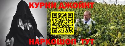 apvp Свободный