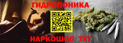 apvp Свободный