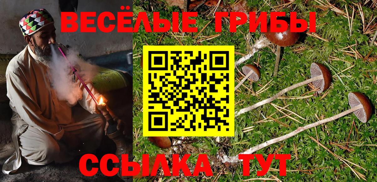 где найти   Вход с VPN  Ливны  Псилоцибиновые грибы Psilocybe 